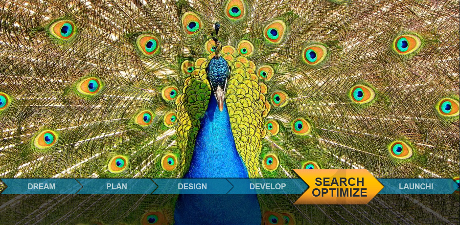 Search Optimized means standing out