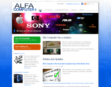 Alfa Computer Website Design